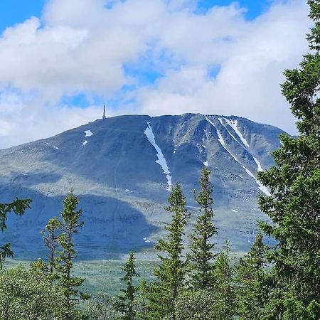 Ny Leilighet Med Flott Utsikt Til Gaustatoppen Rjukan Esterno foto