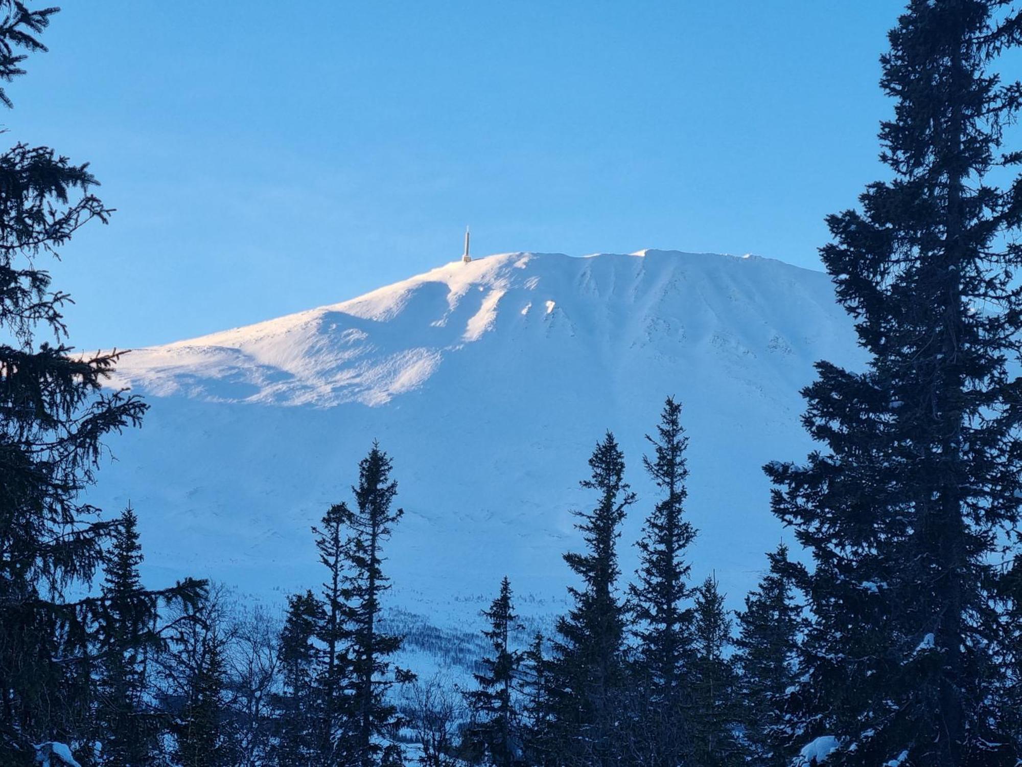Ny Leilighet Med Flott Utsikt Til Gaustatoppen Rjukan Esterno foto