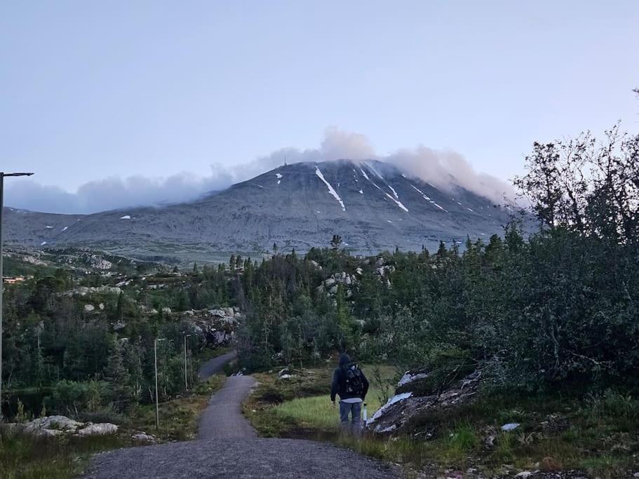 Ny Leilighet Med Flott Utsikt Til Gaustatoppen Rjukan Esterno foto