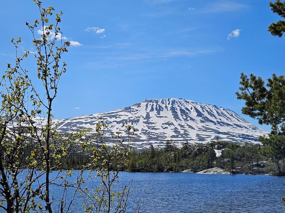 Ny Leilighet Med Flott Utsikt Til Gaustatoppen Rjukan Esterno foto