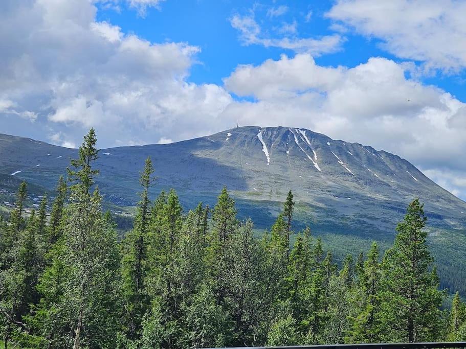 Ny Leilighet Med Flott Utsikt Til Gaustatoppen Rjukan Esterno foto