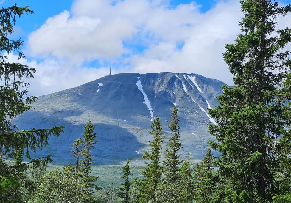 Ny Leilighet Med Flott Utsikt Til Gaustatoppen Rjukan Esterno foto
